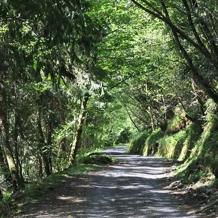 Old Homestay Sligo