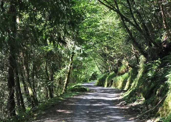 Old Rum i privatbostad Sligo